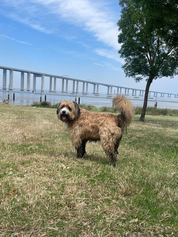 spicy